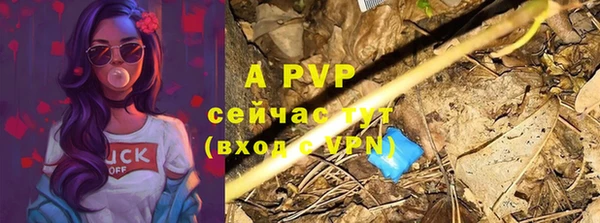 хмурый Волоколамск