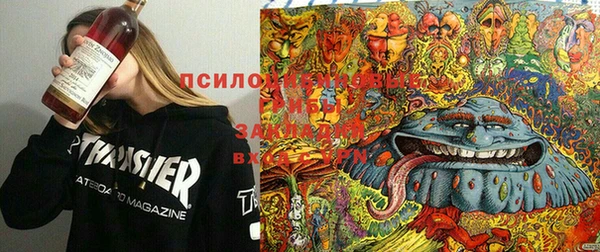 твердый Володарск