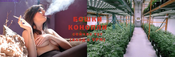 твердый Володарск