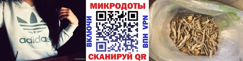 Купить Кувшиново Псилоцибиновые грибы прущие грибы