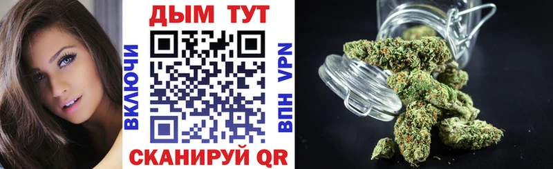 Купить где  Кувшиново  МАРИХУАНА сатива 
